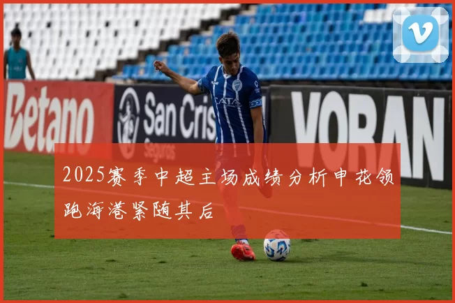 2025赛季中超主场成绩分析申花领跑海港紧随其后