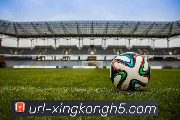 星空体育APP 封面图