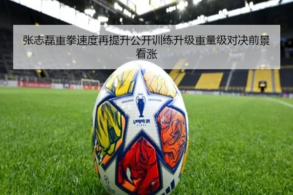 张志磊重拳速度再提升公开训练升级重量级对决前景看涨